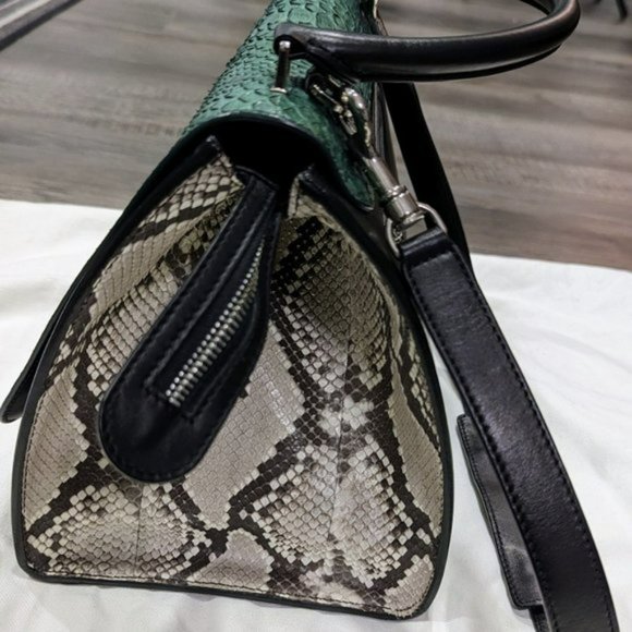 Celine Medium Python Trapeze Bag - Picture 10 of 16